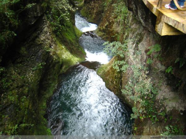 逃离水虎鱼湖
